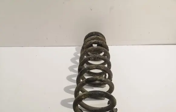 Hyundai Sonata Rear coil spring