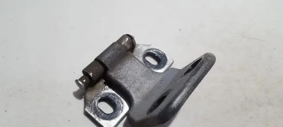 Rear door lower hinge