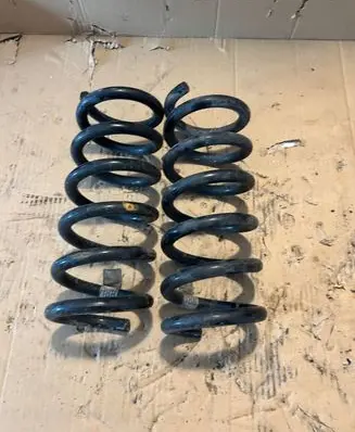 Ford Mustang VI Rear coil spring FR3C5560LA