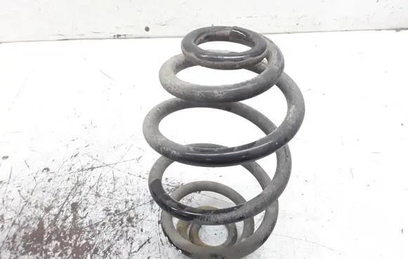 Volkswagen PASSAT B5.5 Rear coil spring