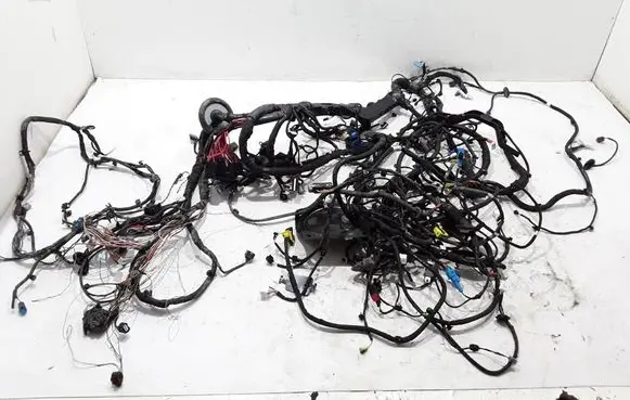 Renault Arkana Other wiring loom 240100948R
