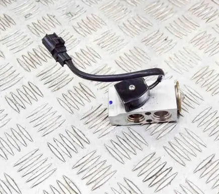 Tesla Model S Air conditioning (A/C) expansion valve 101954400A