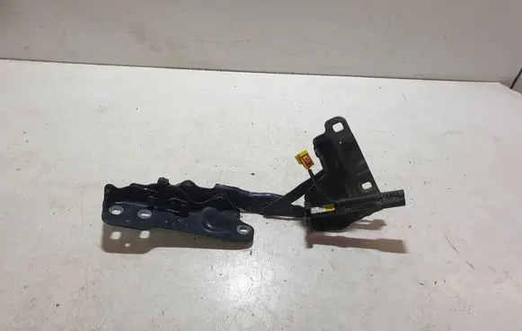 Jaguar XF X260 Engine bonnet/hood hinges GX7316801AE 0332A