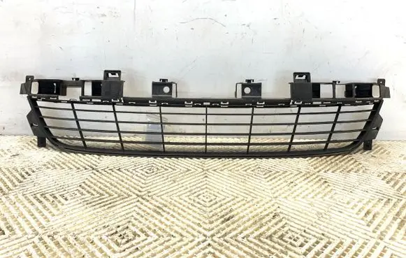 Front bumper lower grill