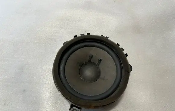 Front door speaker