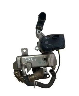 Renault Trafic III (X82) EGR valve H8201068965