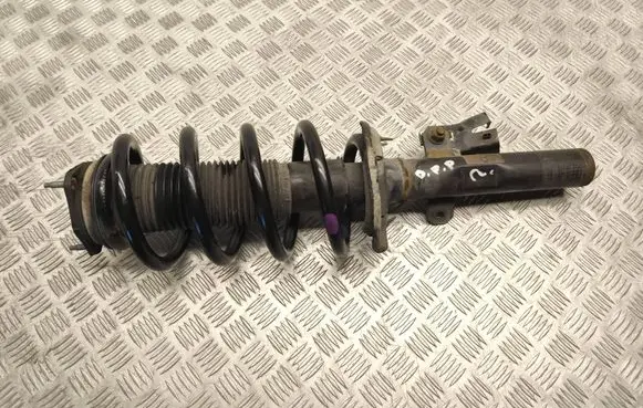 Ford Transit - Tourneo Connect Front shock absorber with coil spring BK3118045BC 008684