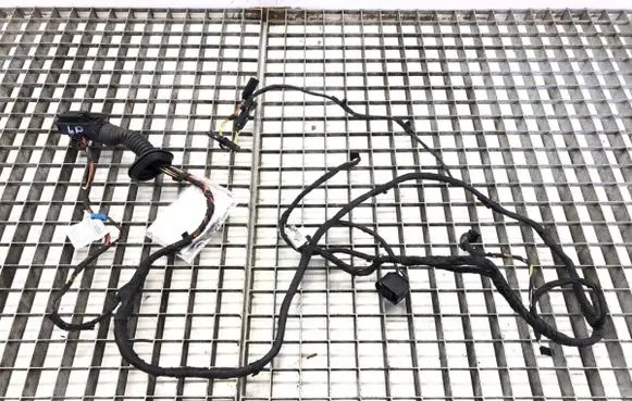 Front door wiring loom