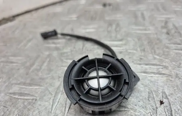 Front door high frequency speaker
