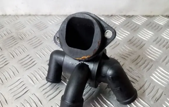 Thermostat/thermostat housing
