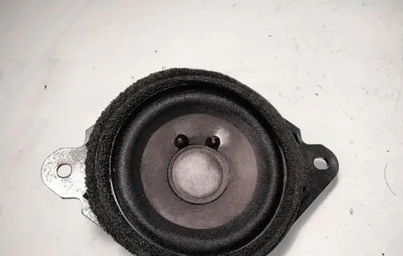 Panel speaker