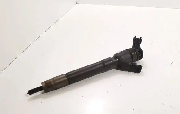 Renault Espace V (RFC) Fuel injector 0445110569