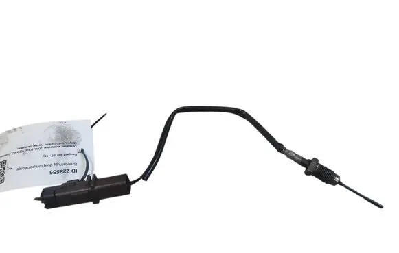 Exhaust gas temperature sensor