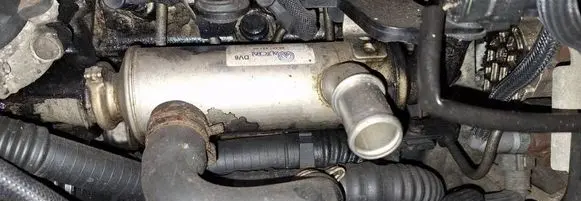 Ford Focus EGR valve cooler 9646762280