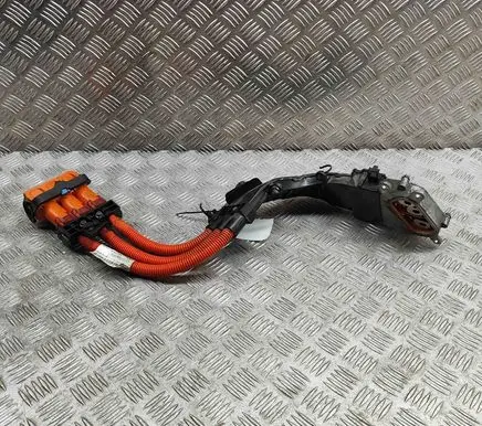 Volvo S90, V90 Other wiring loom 30644624