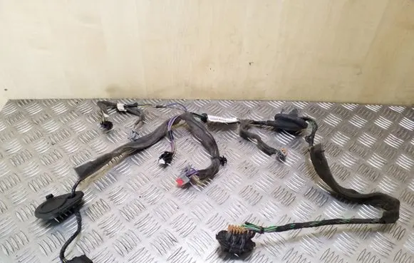 Rear door wiring loom