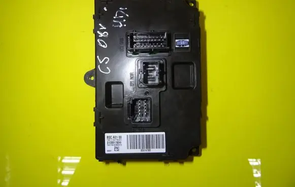 Citroen C5 Other control units/modules S120017004I BSCA0100