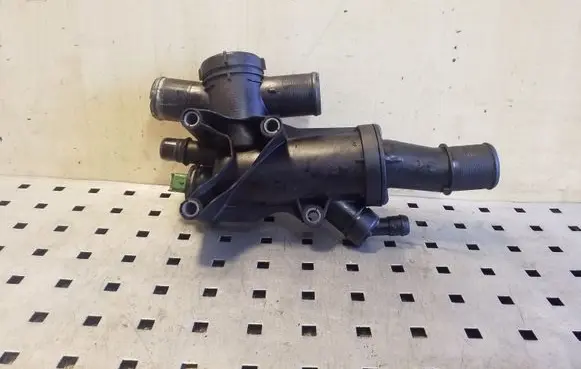 Thermostat/thermostat housing