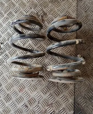 Rear coil spring
