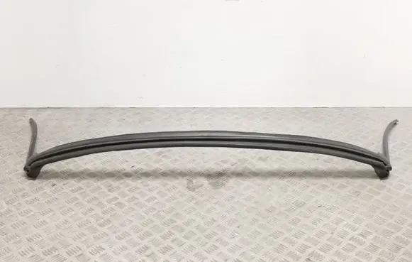 BMW Z4 E89 Rubber seal front coupe door window 51767192294