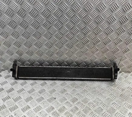 Toyota Prius (XW30) Coolant radiator G901047031