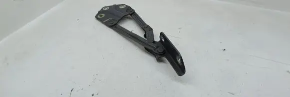 Volkswagen Caddy Engine bonnet/hood hinges 1T0823301 C0787