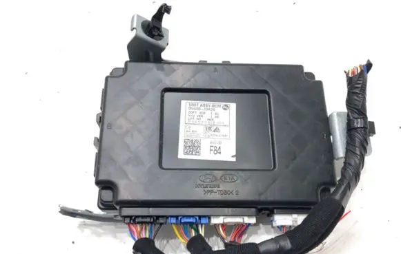 Hyundai Kona I Other control units/modules 954A0-J9420