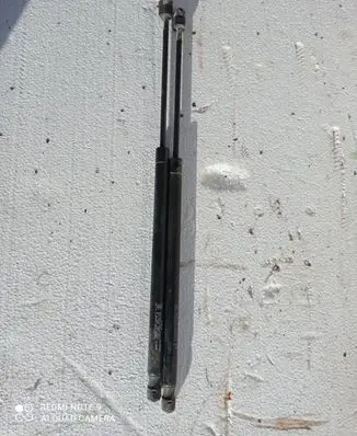 Tailgate strut