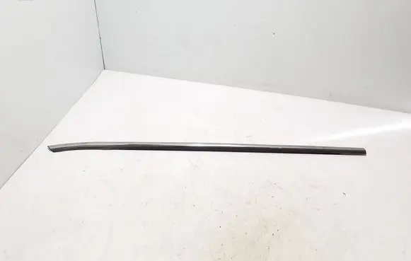 Renault Koleos II Front door glass trim molding 808204013R