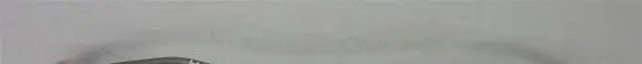 Mercedes-Benz E W212 Oil level dip stick 