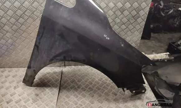 Volkswagen Golf Plus Fender 