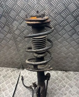 Jeep Patriot Front shock absorber with coil spring 