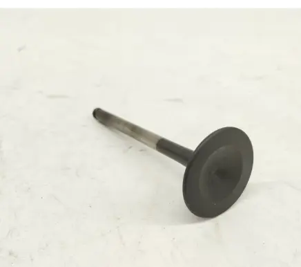 Mercedes-Benz S W140 Valve 1110531101 A1110531101