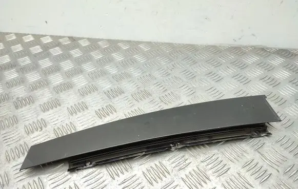 Renault Laguna III Rear door glass trim molding 822830011R