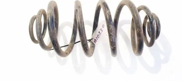 Rear coil spring