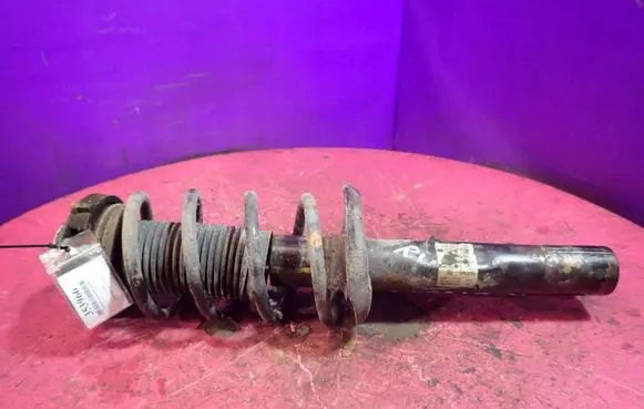 Volkswagen PASSAT CC Front shock absorber with coil spring 3C0413031AH