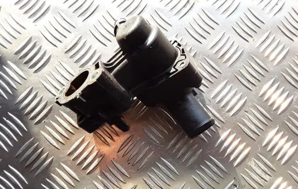 Thermostat/thermostat housing