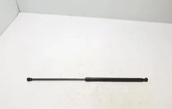 Front bonnet/hood damper/strut