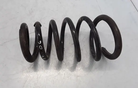 Rear coil spring