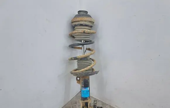 Opel Astra H Front shock absorber/damper 313478 111500313478