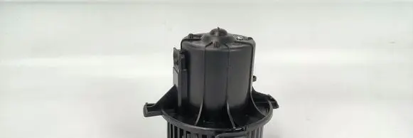 Peugeot 307 Heater fan/blower 