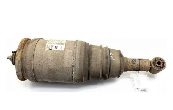 Land Rover Range Rover L322 Rear shock absorber/damper 22238307