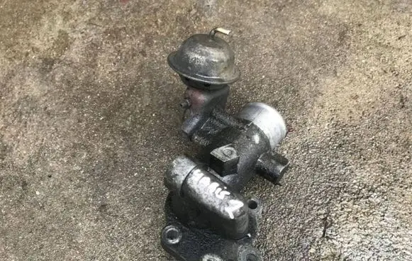 Throttle body valve