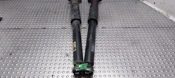 Rear shock absorber/damper