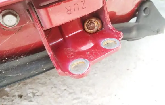 Subaru Legacy Rear door lower hinge