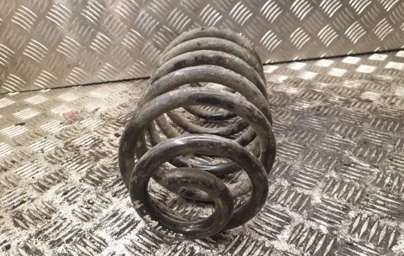 Rear coil spring