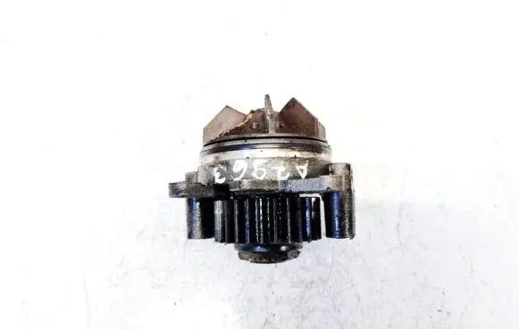 Renault Espace - Grand espace IV Water pump 729976041
