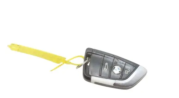 BMW 2 F45 Ignition key/card 5A56076