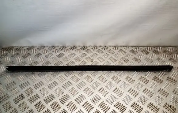 Front door glass trim molding