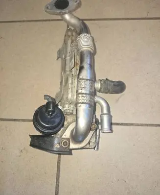 EGR valve